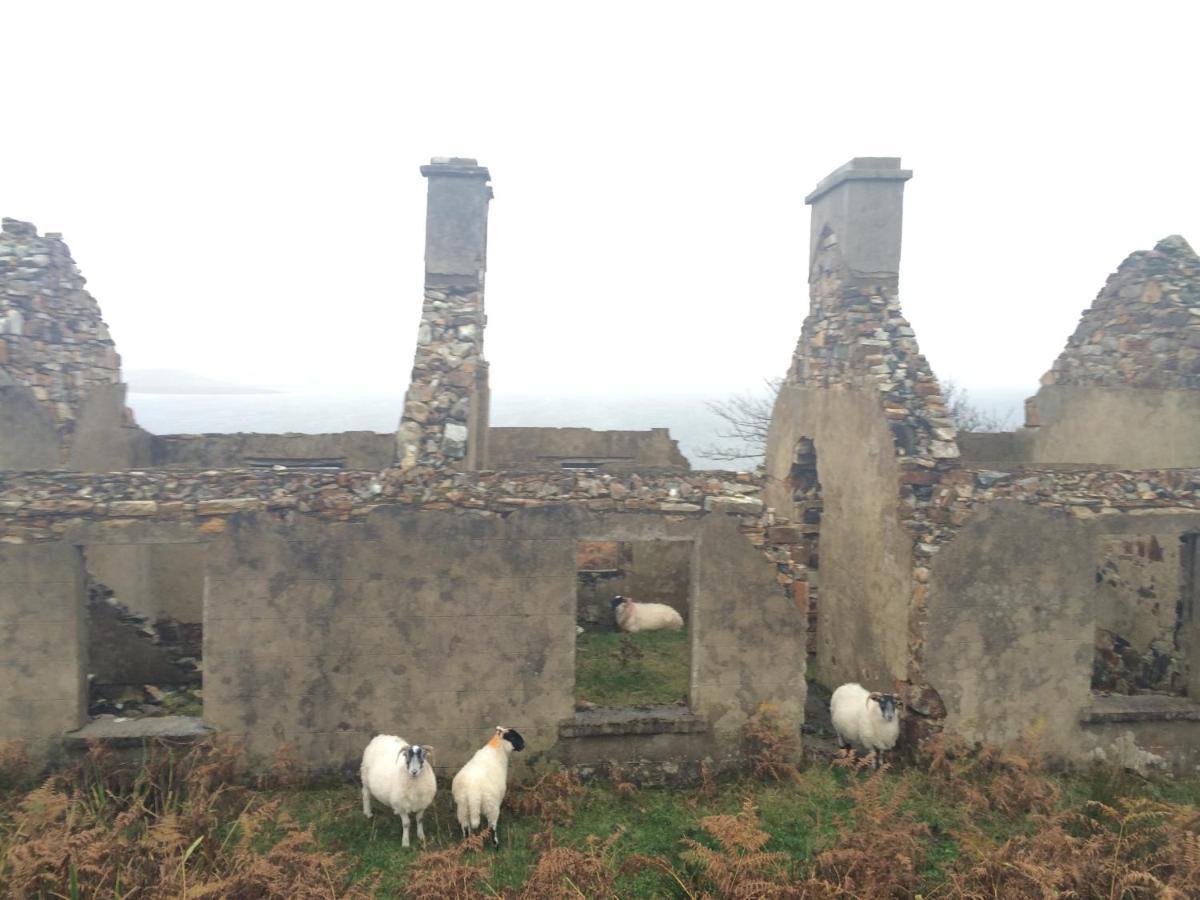 Bed and Breakfast Ardcrone House Dungloe Exteriér fotografie